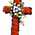 Cruz Carnation