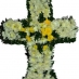 Cruz Paulista